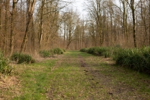 Biddinghuizen - diversen