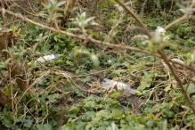 Biddinghuizen - diversen