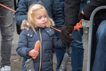 Sinterklaasintocht 2017