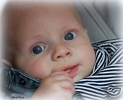 Pinkstertoernooi 2018 - zaterdag