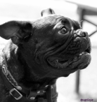 Pinkstertoernooi 2018 - zondag