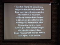 Plantenmarkt en muziekfestival
