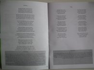 Plantenmarkt en muziekfestival