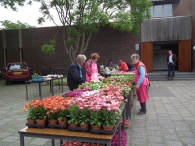 Plantenmarkt en muziekfestival