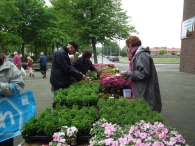 Plantenmarkt en muziekfestival
