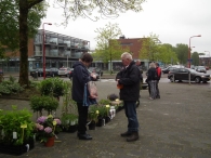 Plantenmarkt en muziekfestival