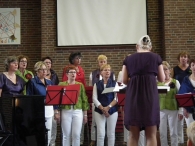 Plantenmarkt en muziekfestival