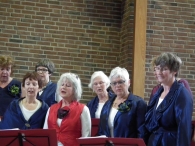 Plantenmarkt en muziekfestival