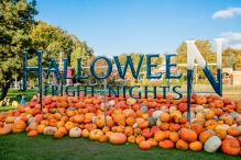 Walibi Holland en Halloween Fright Nights 1/2
