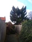 Storm 18 januari 2018