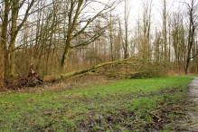 Storm 18 januari 2018