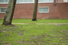Storm 3 januari