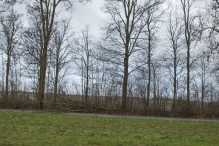 Storm 3 januari