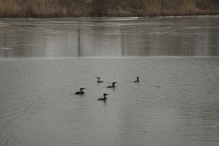 Winters Biddinghuizen