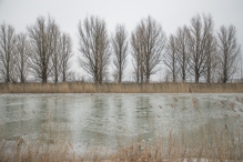 Winters Biddinghuizen