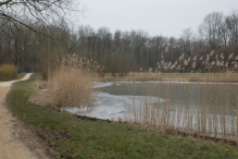 Winters Biddinghuizen