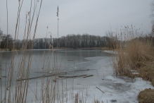 Winters Biddinghuizen