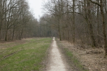 Winters Biddinghuizen