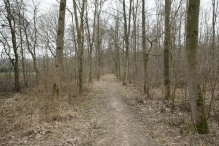 Winters Biddinghuizen