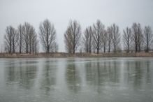 Winters Biddinghuizen