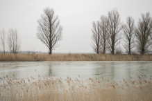 Winters Biddinghuizen