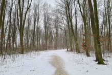 Winters Biddinghuizen