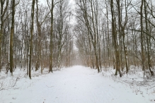 Winters Biddinghuizen
