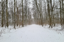 Winters Biddinghuizen