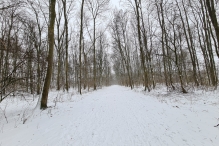 Winters Biddinghuizen