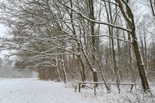 Winters Biddinghuizen