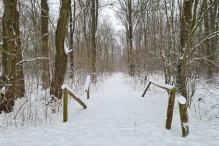 Winters Biddinghuizen