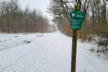 Winters Biddinghuizen