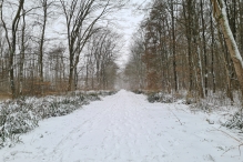 Winters Biddinghuizen