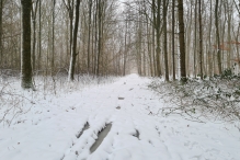 Winters Biddinghuizen