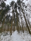 Winters Biddinghuizen