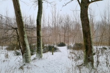 Winters Biddinghuizen