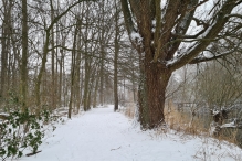 Winters Biddinghuizen