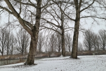 Winters Biddinghuizen