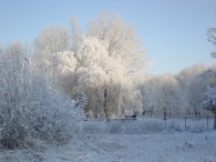Winter 2010