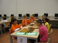 Tamarisk Nederlands Kampioen Dammen