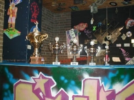 HEDI 501 Dartstrophy