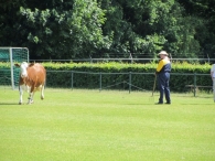 BAS Voetbal Familiedag
