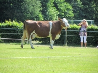 BAS Voetbal Familiedag