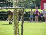 BAS Voetbal Familiedag