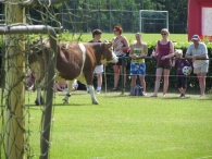 BAS Voetbal Familiedag