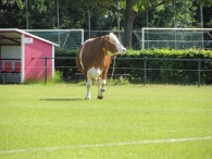 BAS Voetbal Familiedag