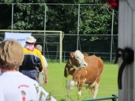 BAS Voetbal Familiedag