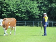 BAS Voetbal Familiedag