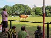 BAS Voetbal Familiedag