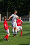 Swift 1 - BAS 1 (1/3)